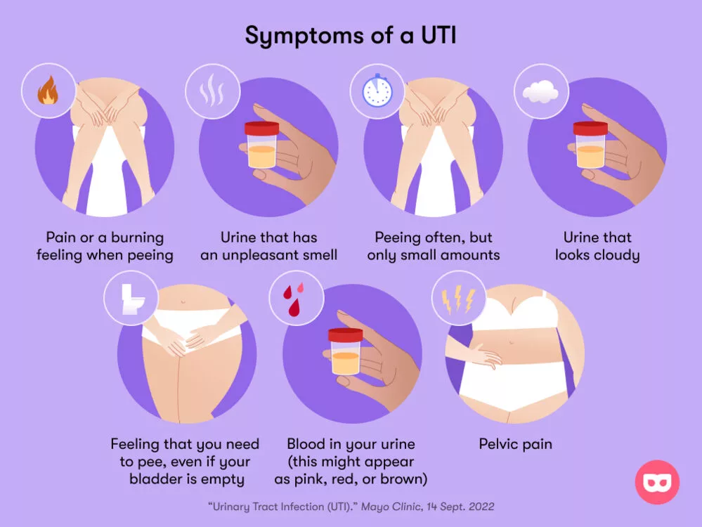 4-common-and-top-antibiotics-for-uti-urinary-tract-infection